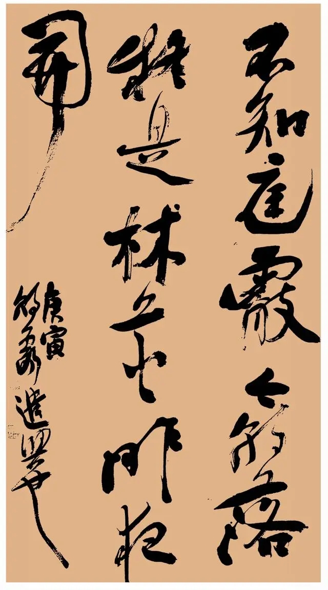 胡朝霞书法作品欣赏(图10)
