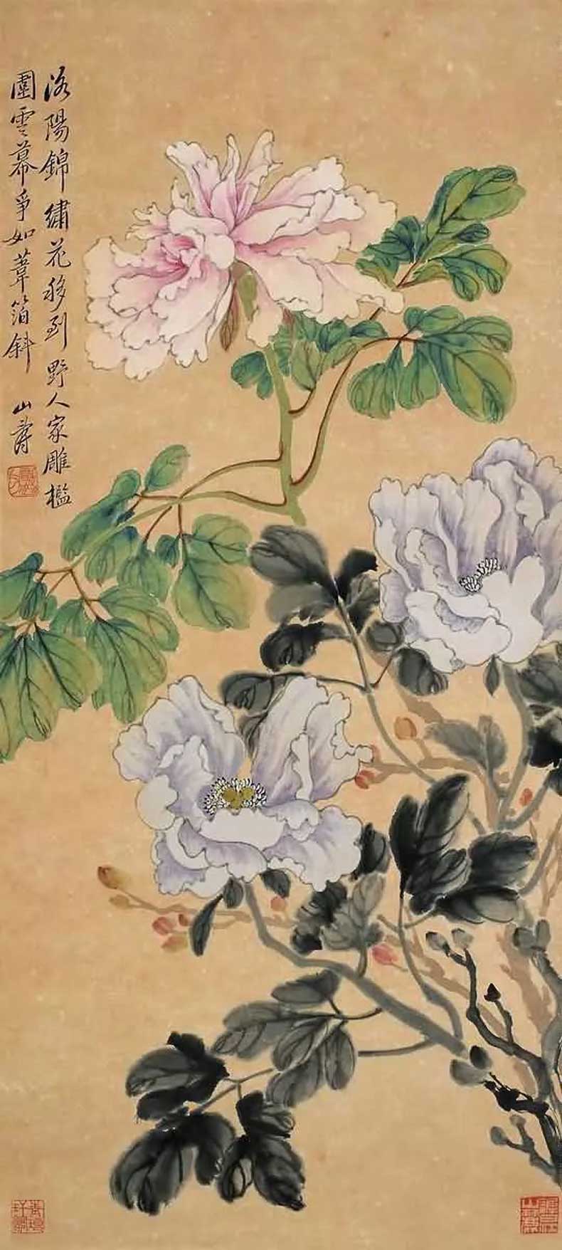 黄山寿花鸟画作品欣赏(图21)