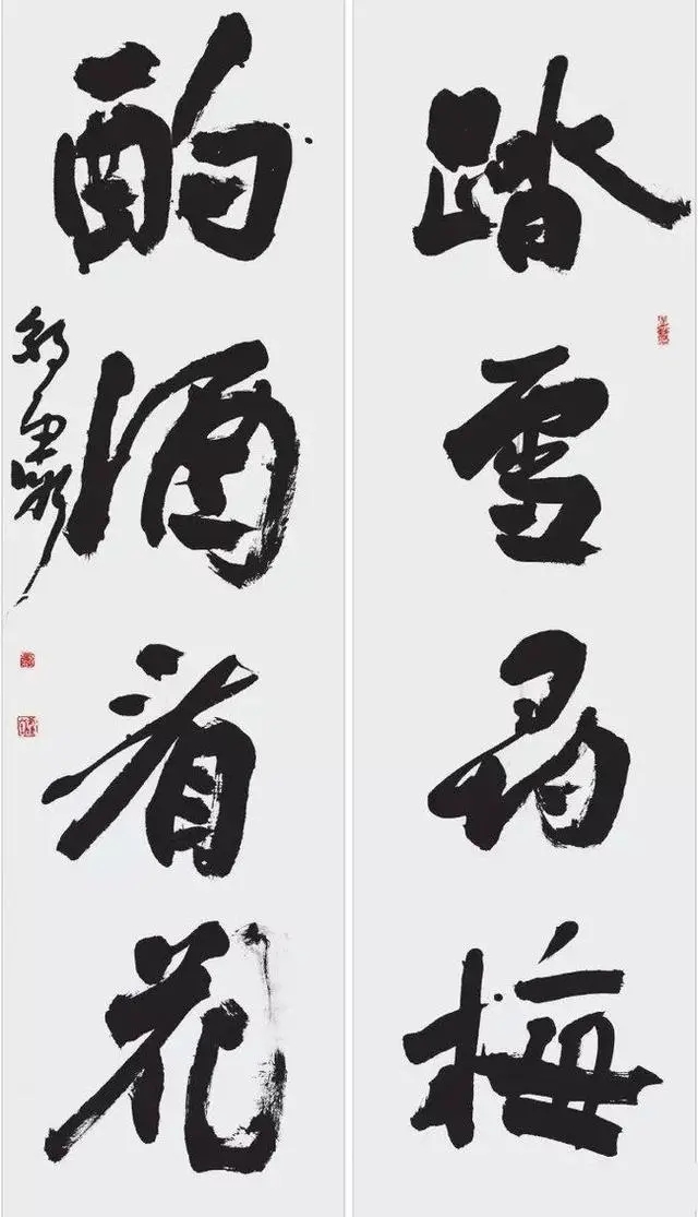 胡朝霞书法作品欣赏(图12)