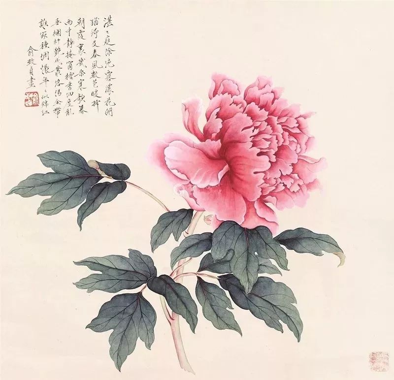 俞致贞花鸟画作品欣赏(图2)